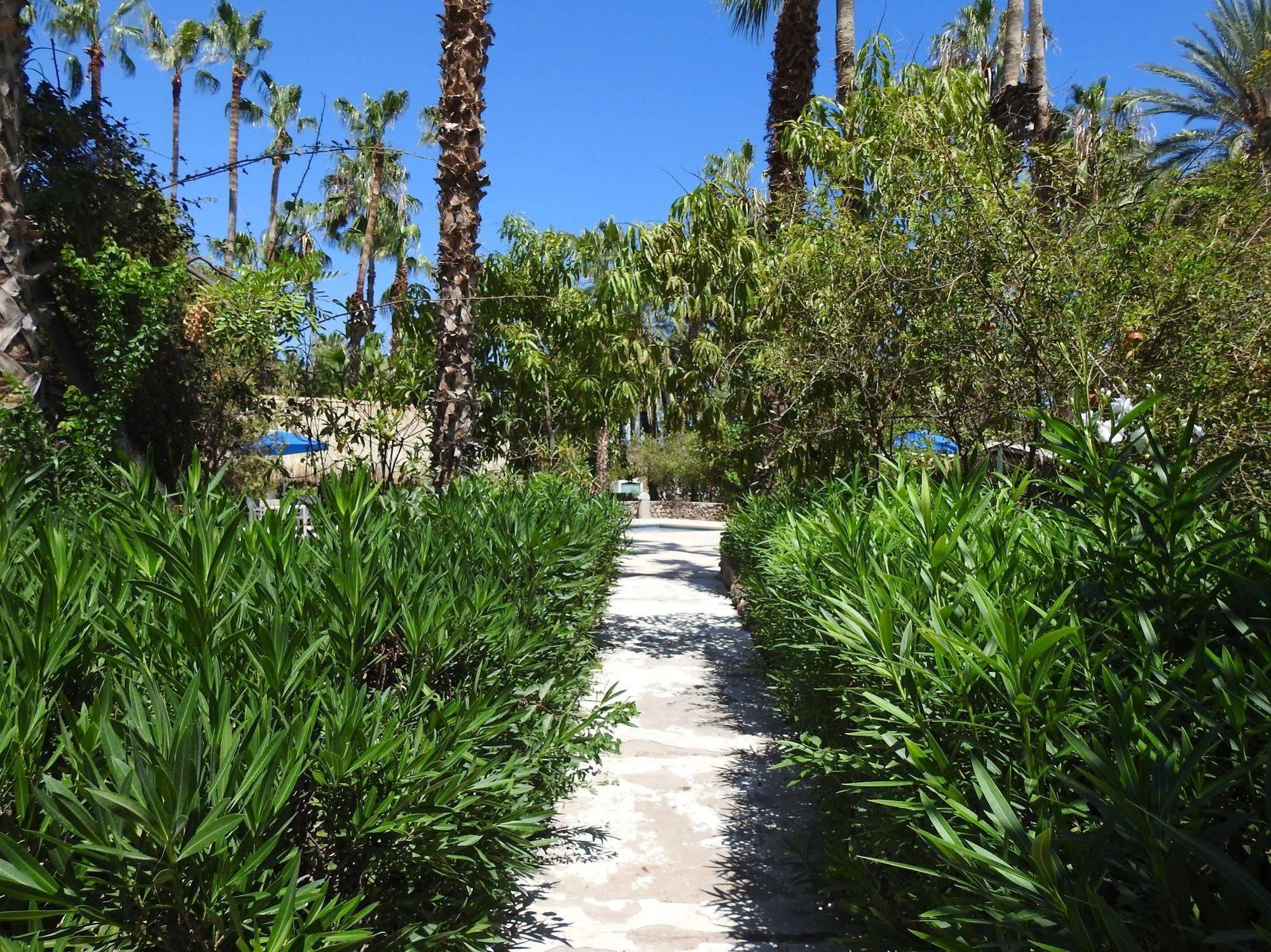 Hotel Oasis Loreto  Eksteriør bilde